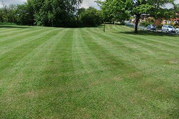 turf laying