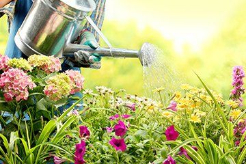 gardening services