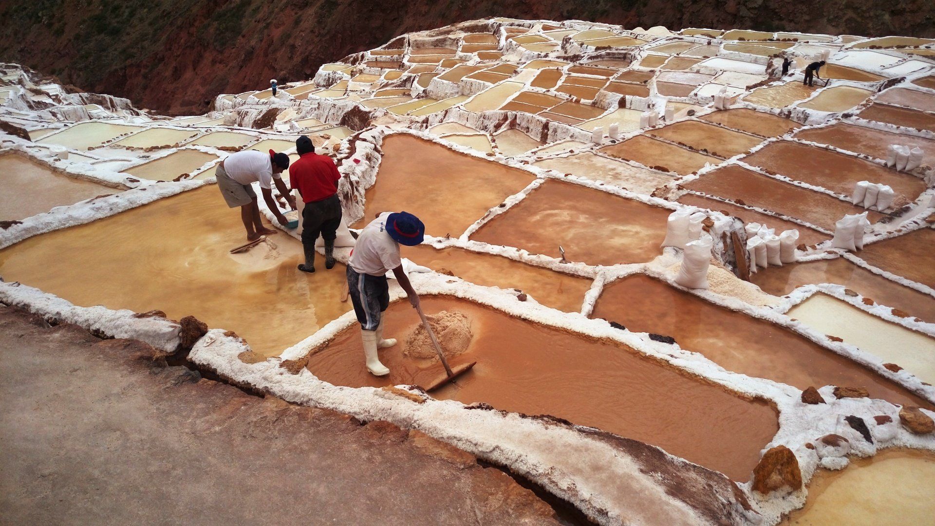 Salt Mines in the Sacred Valley