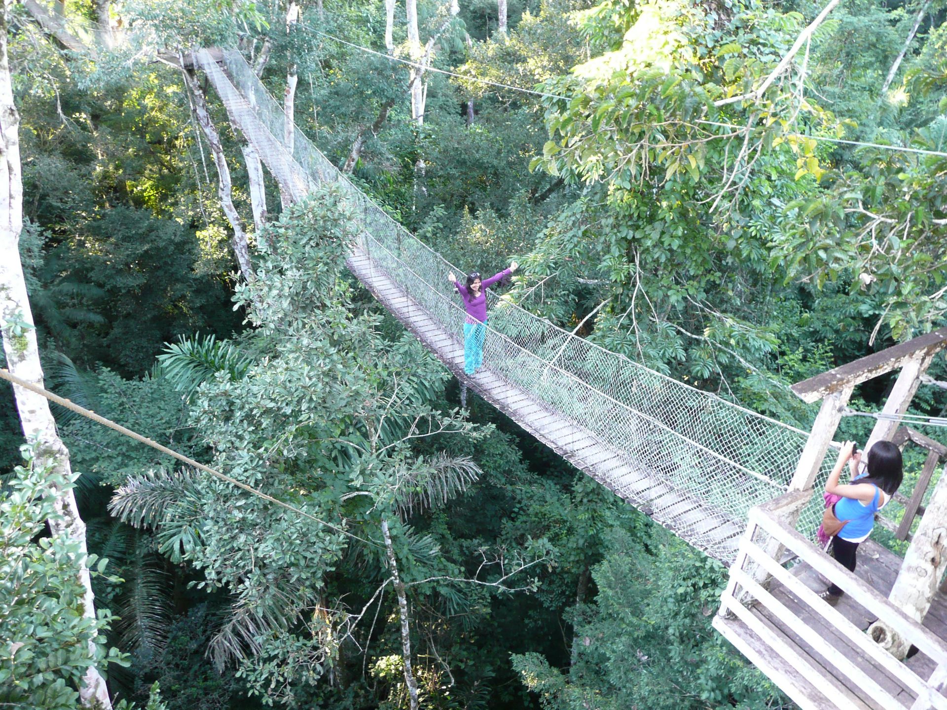 Canopy Walk