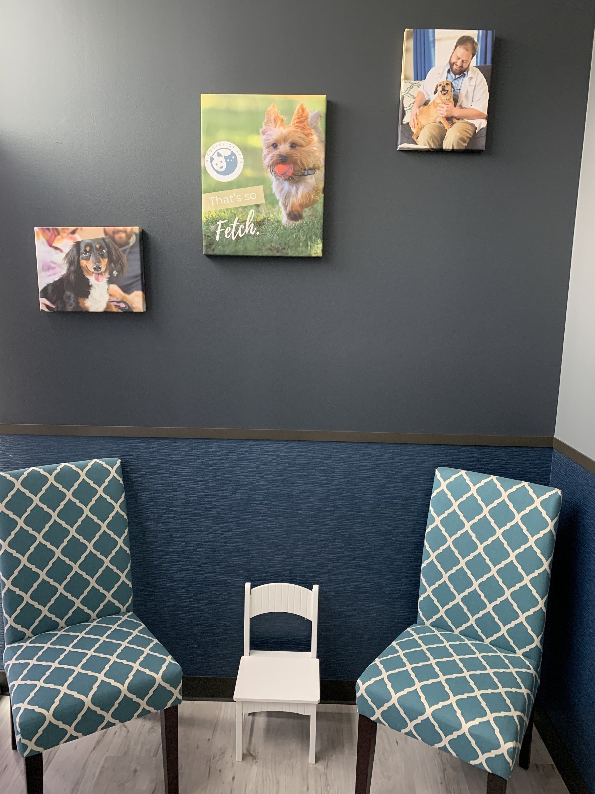 Canine waiting area
