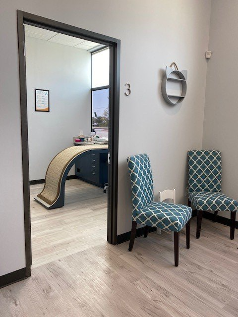 Cat-only waiting room at our veterinary clinic