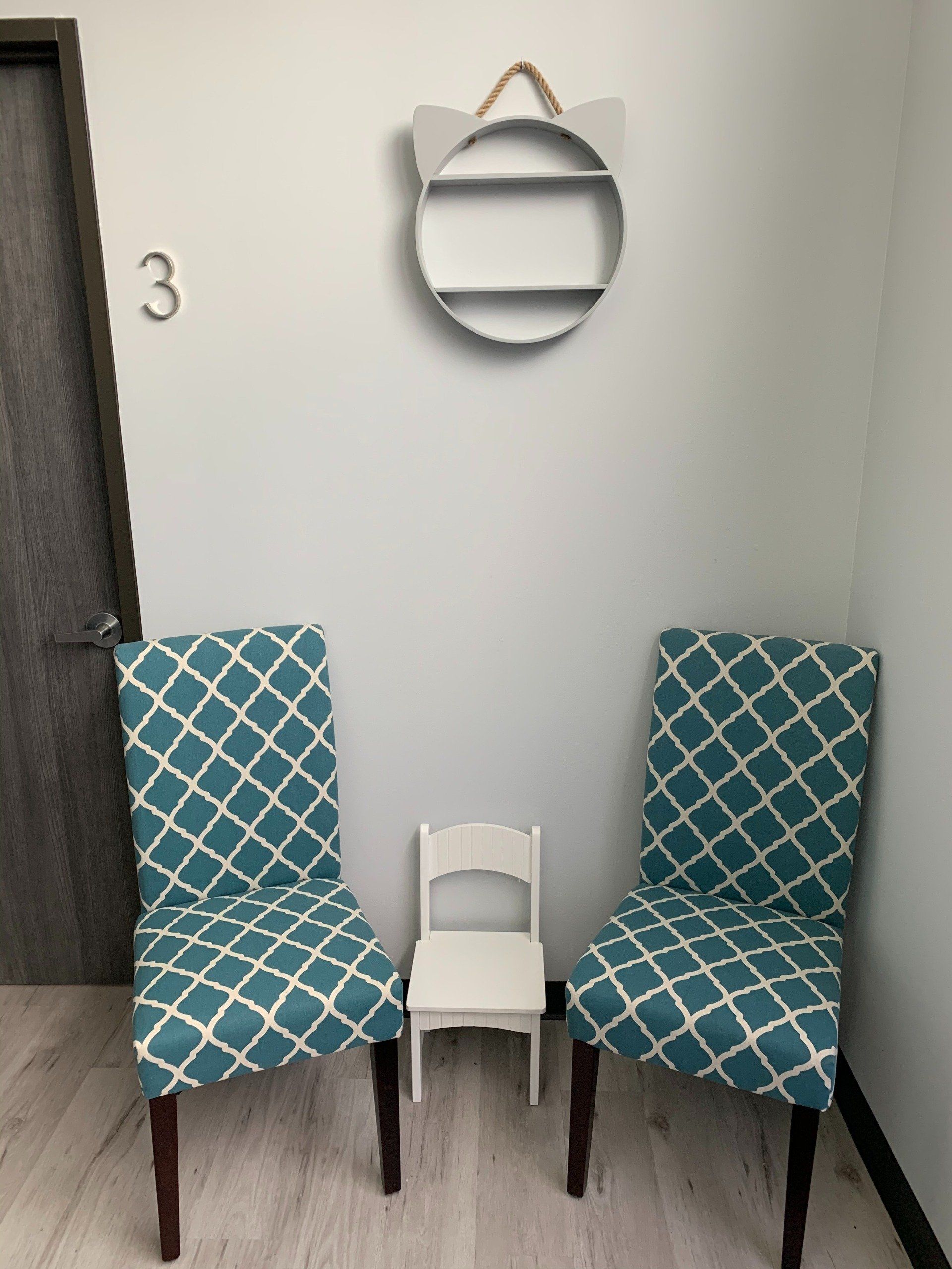 Feline waiting area