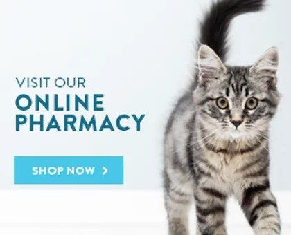 visit our online pharmacy button