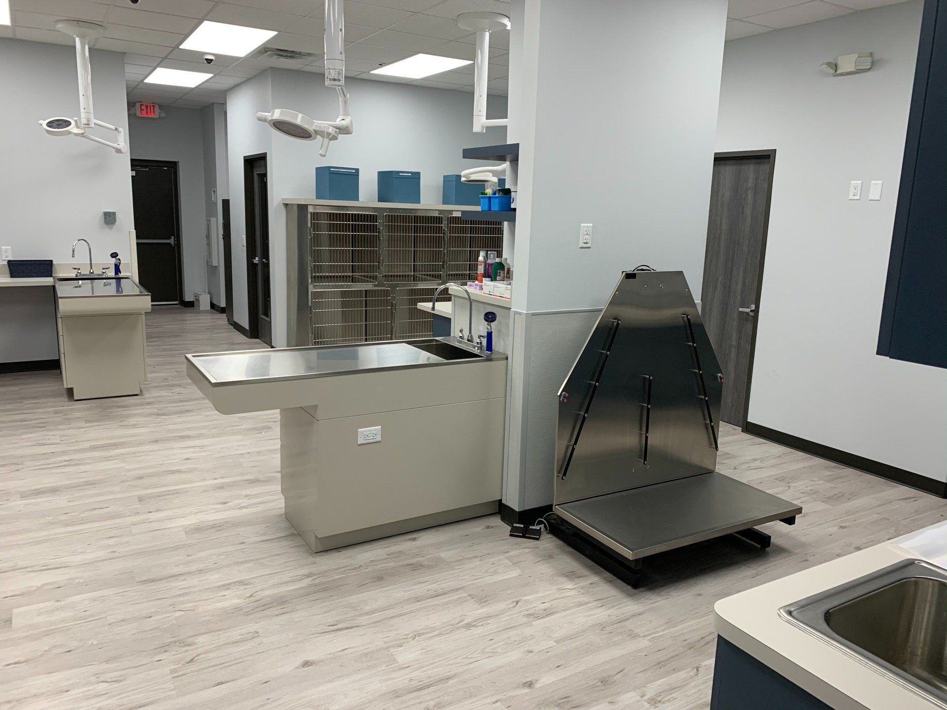 Treatment area 2