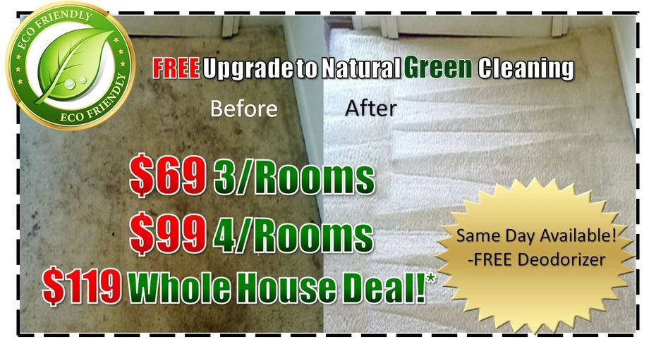 professional steam carpet cleaners, steam carpet cleaning
