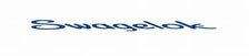 Swagelok logo