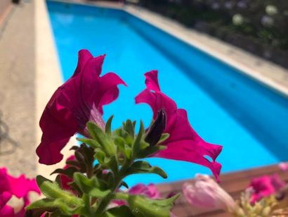 piscine olimpioniche