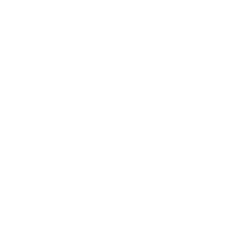 icon of home
