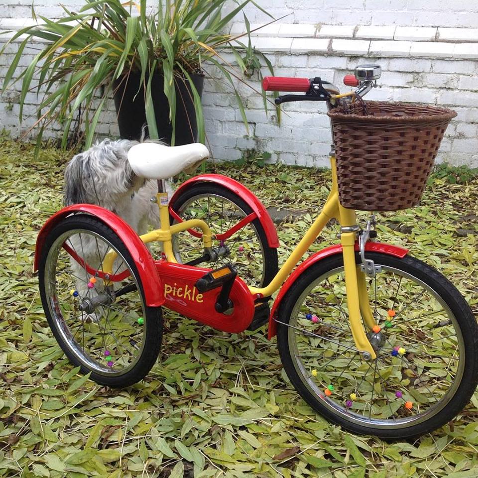 That Tiny Bike Shop