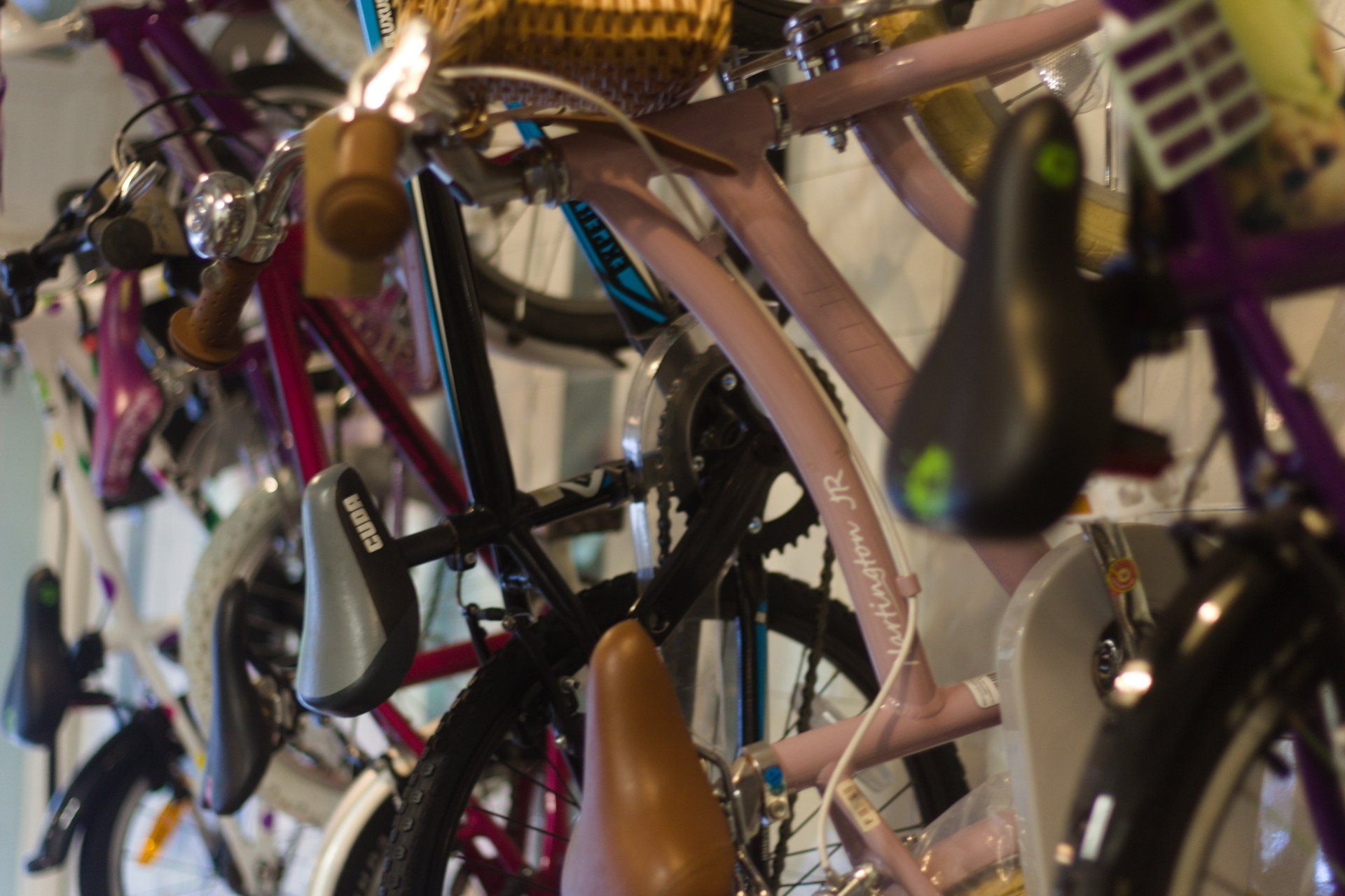 That Tiny Bike Shop