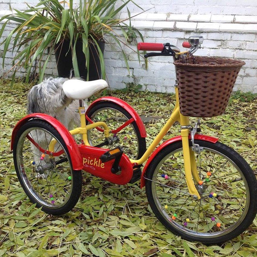 1960's Pashley Pickle tastefully restored