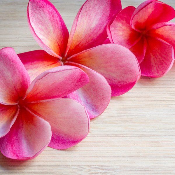 Hawaiian flowers on bamboo
