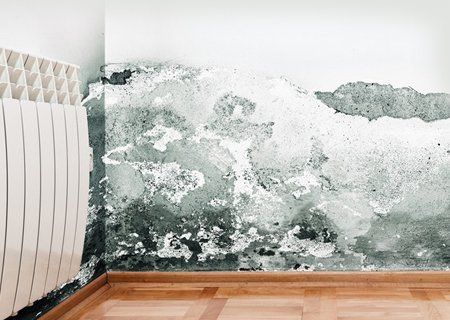 wall before mould removal