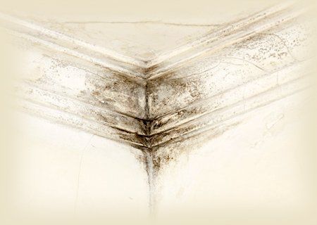 ceiling condensation