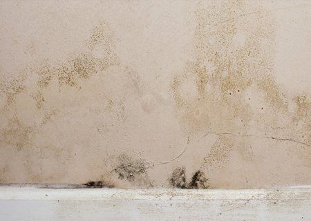 view of the damp wall