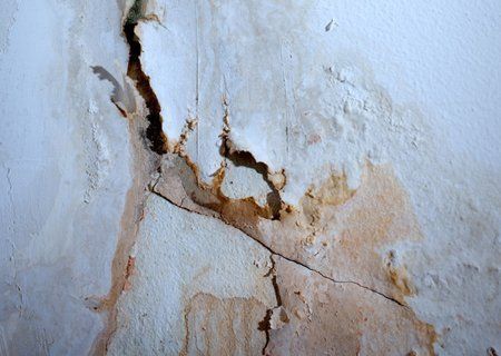 before damp wall control treatment