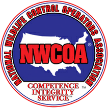 nwcoa.com nwcoa.com