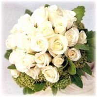 OLNEY'S FLOWERS