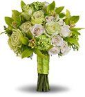 OLNEY'S FLOWERS