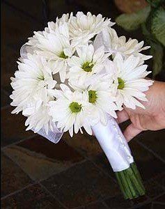 Flowers by Suzanne