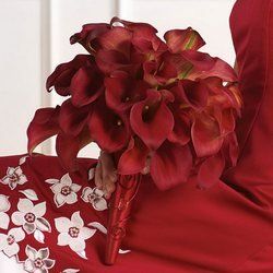 OLNEY'S FLOWERS