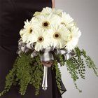 OLNEY'S FLOWERS