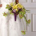 OLNEY'S FLOWERS