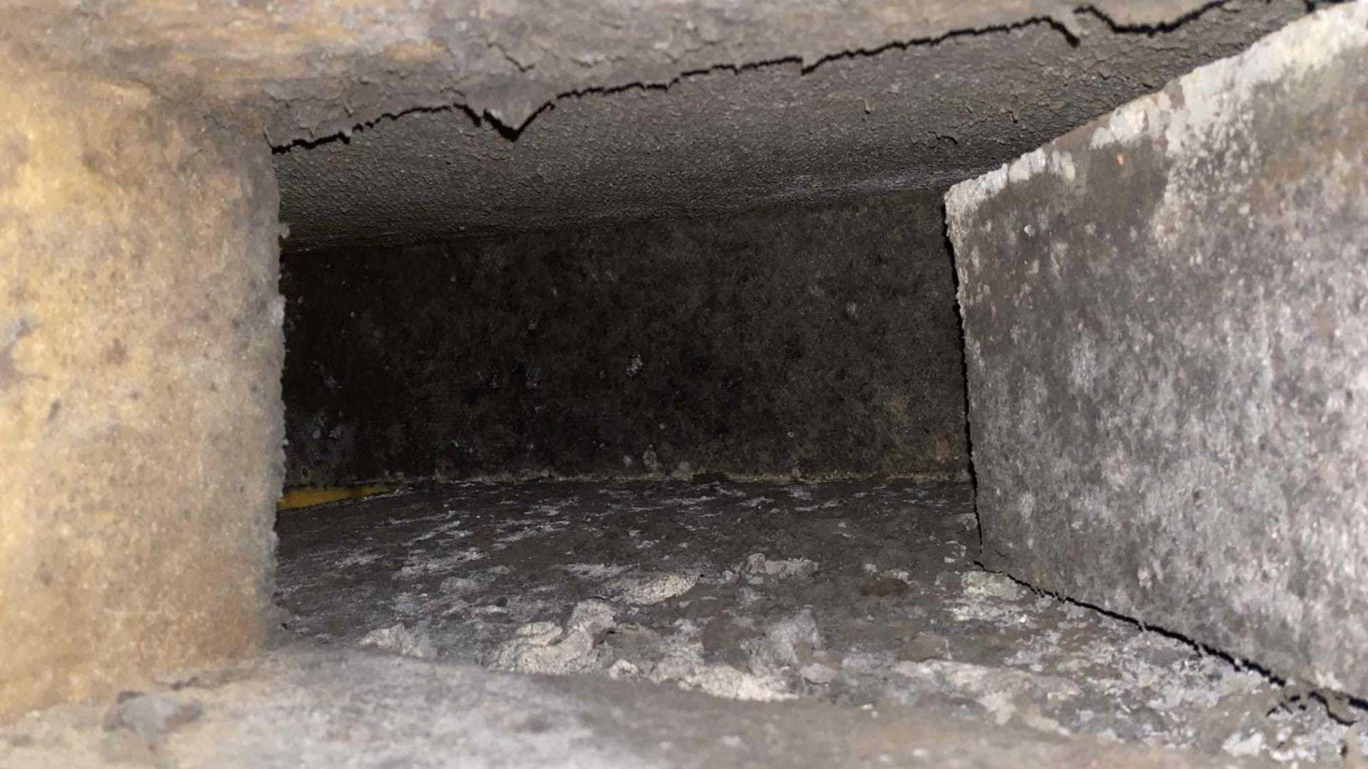 Moldy Ducts