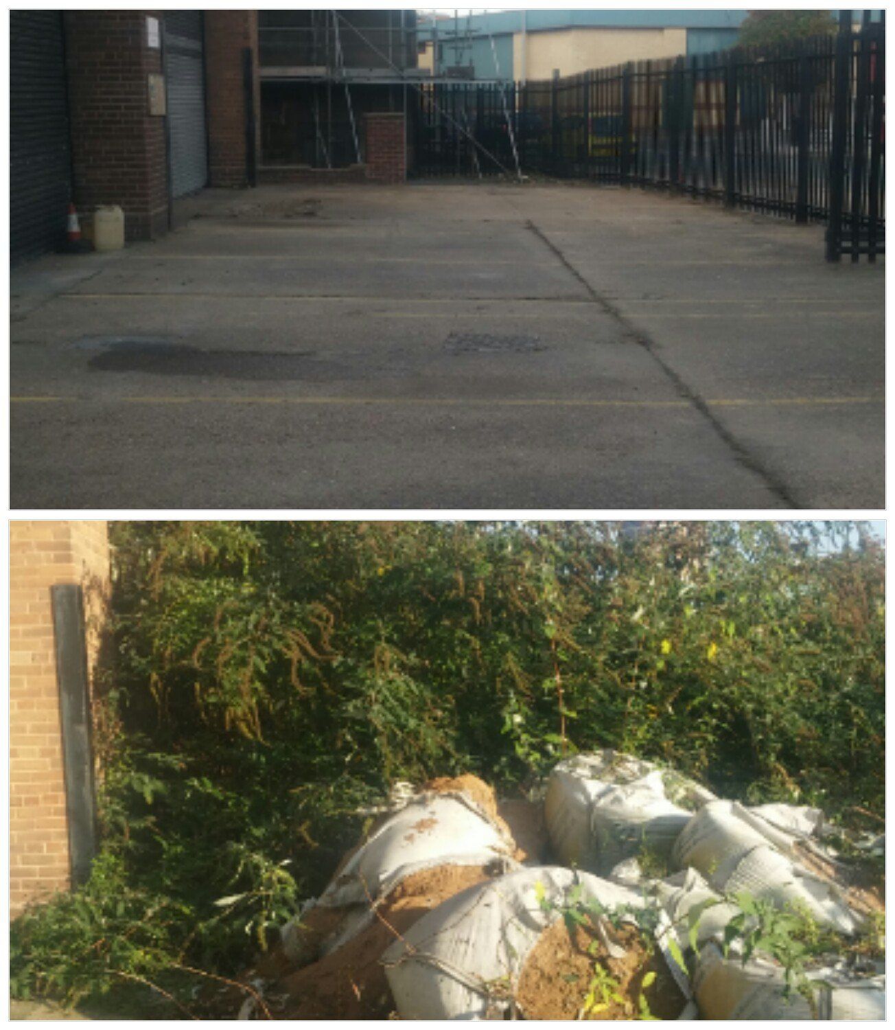 Groundcare Management Ltd