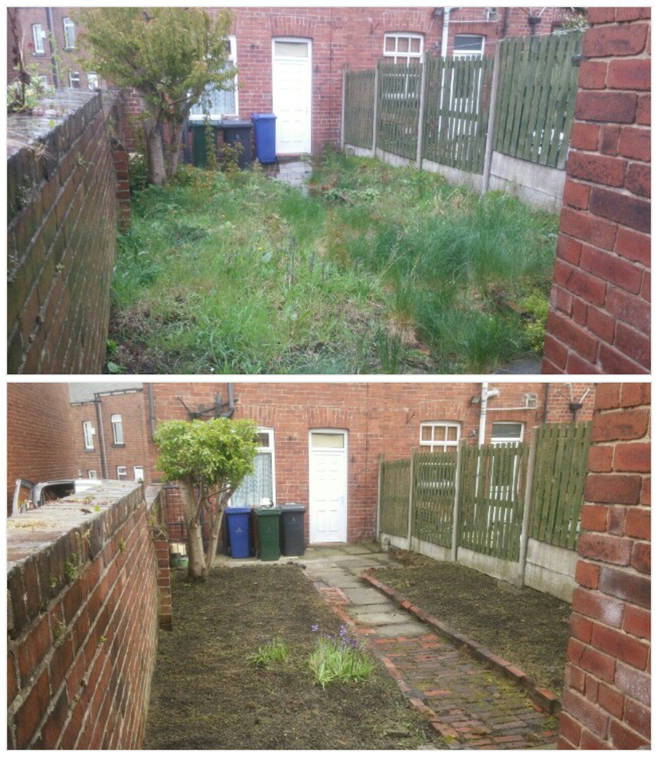 Groundcare Management Ltd