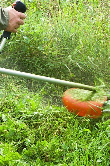 Mowing The Grass — Lynams Landscapes In Jensen QLD Mowing The Grass — Lynams Landscapes In Jensen QLD