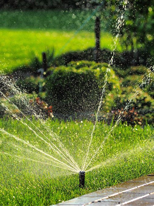 Landscape Sprinklers — Lynams Landscapes In Jensen QLD Landscape Sprinklers — Lynams Landscapes In Jensen QLD
