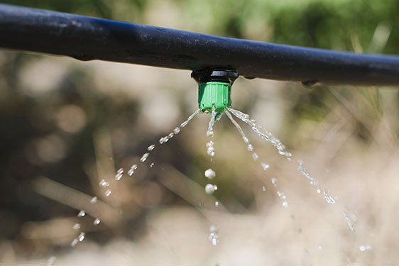 Drip Irrigation — Lynams Landscapes In Jensen QLD Drip Irrigation — Lynams Landscapes In Jensen QLD