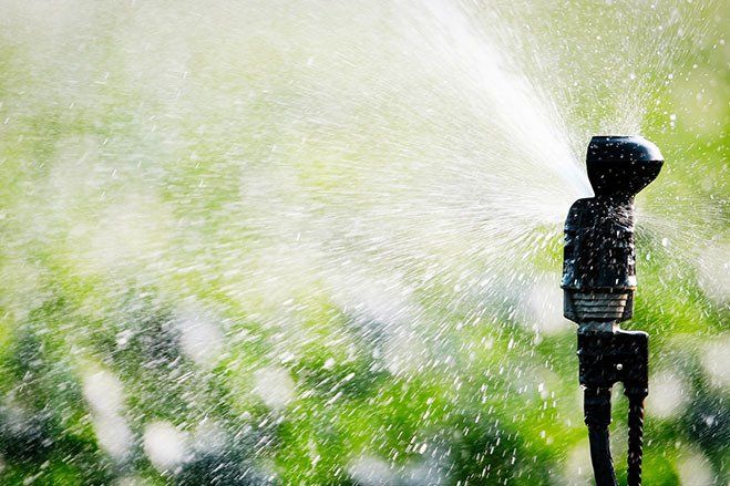 Sprinkler — Lynams Landscapes In Jensen QLD Sprinkler — Lynams Landscapes In Jensen QLD