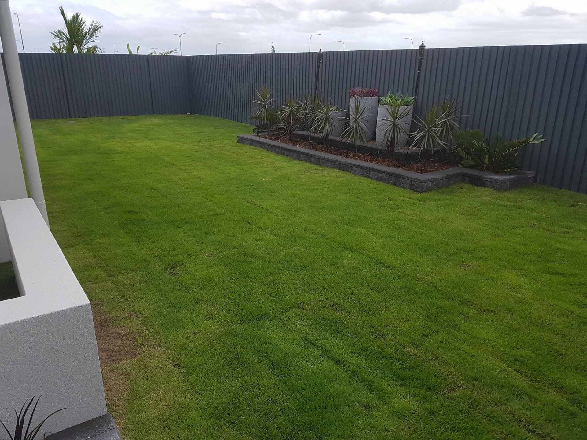 New Backyard Turf — Lynams Landscapes Pty Ltd in Jensen, QLD