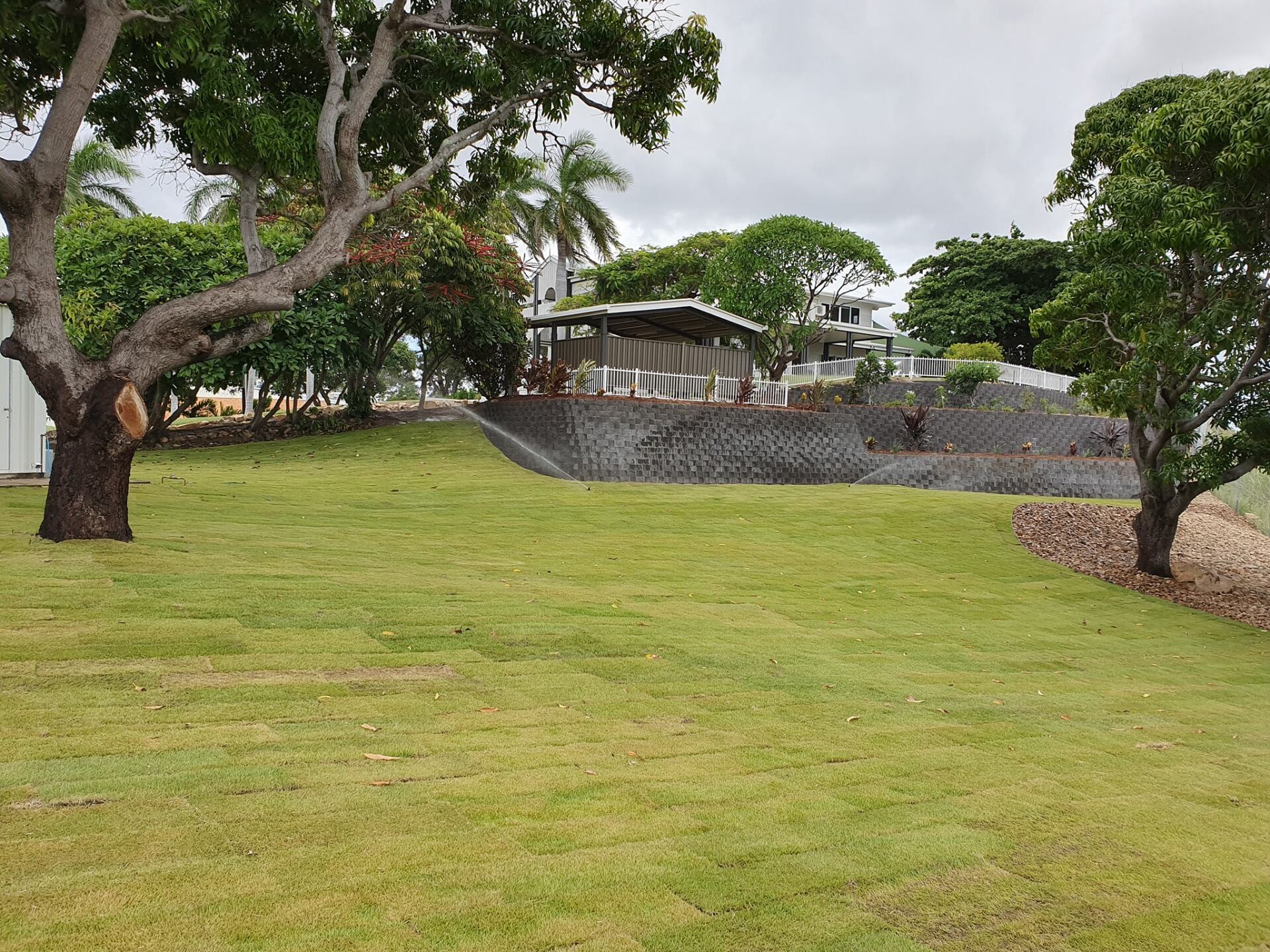 Lawn — Lynams Landscapes Pty Ltd in Jensen, QLD