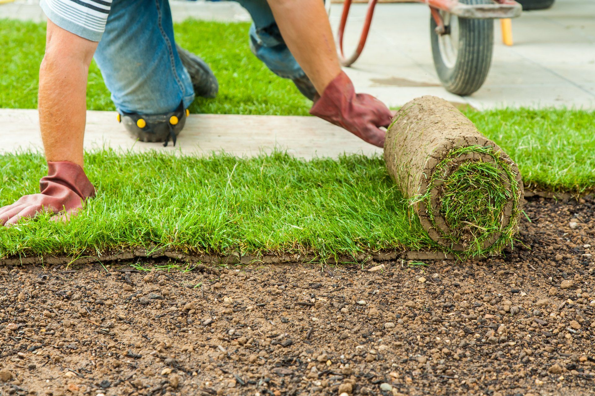 Laying Turf — Lynams Landscapes In Jensen QLD