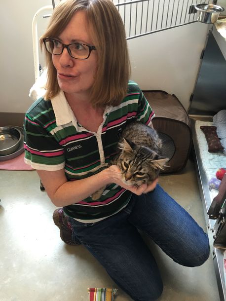 A woman wearing glasses is kneeling down holding a cat