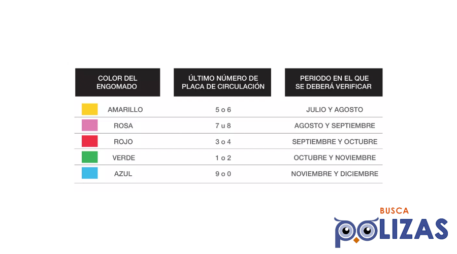 la verificacion ya esta aqui buscapolizas