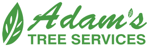 adams tree services logo adams tree services logo