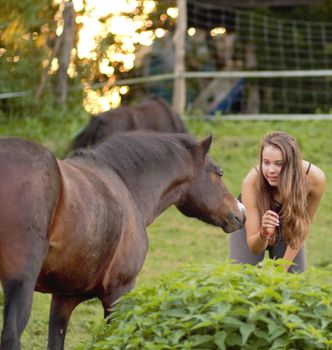Kennenlernen Mädchen und Pferd Kontakt