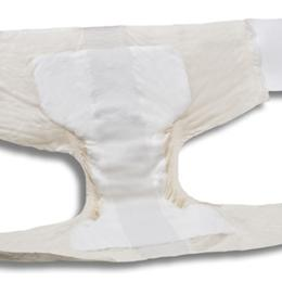 Bariatric Briefs -  Adult Diapers in El Paso TX .