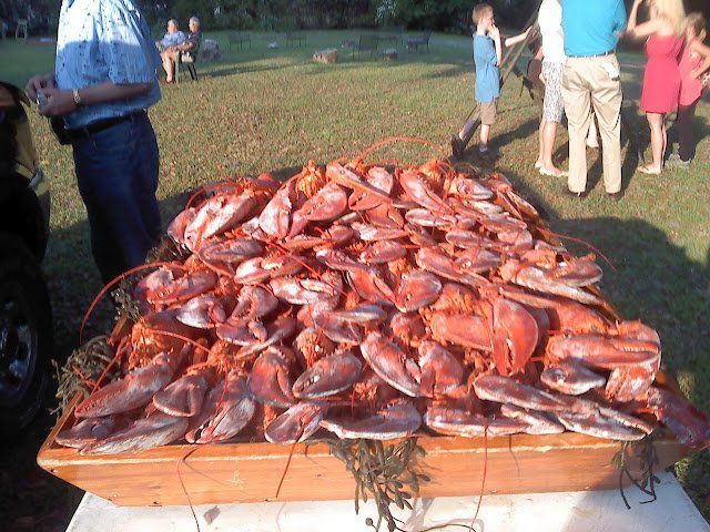 Crabs at the Table — Gainesville, FL — Hill’s Bar-b-que & Catering