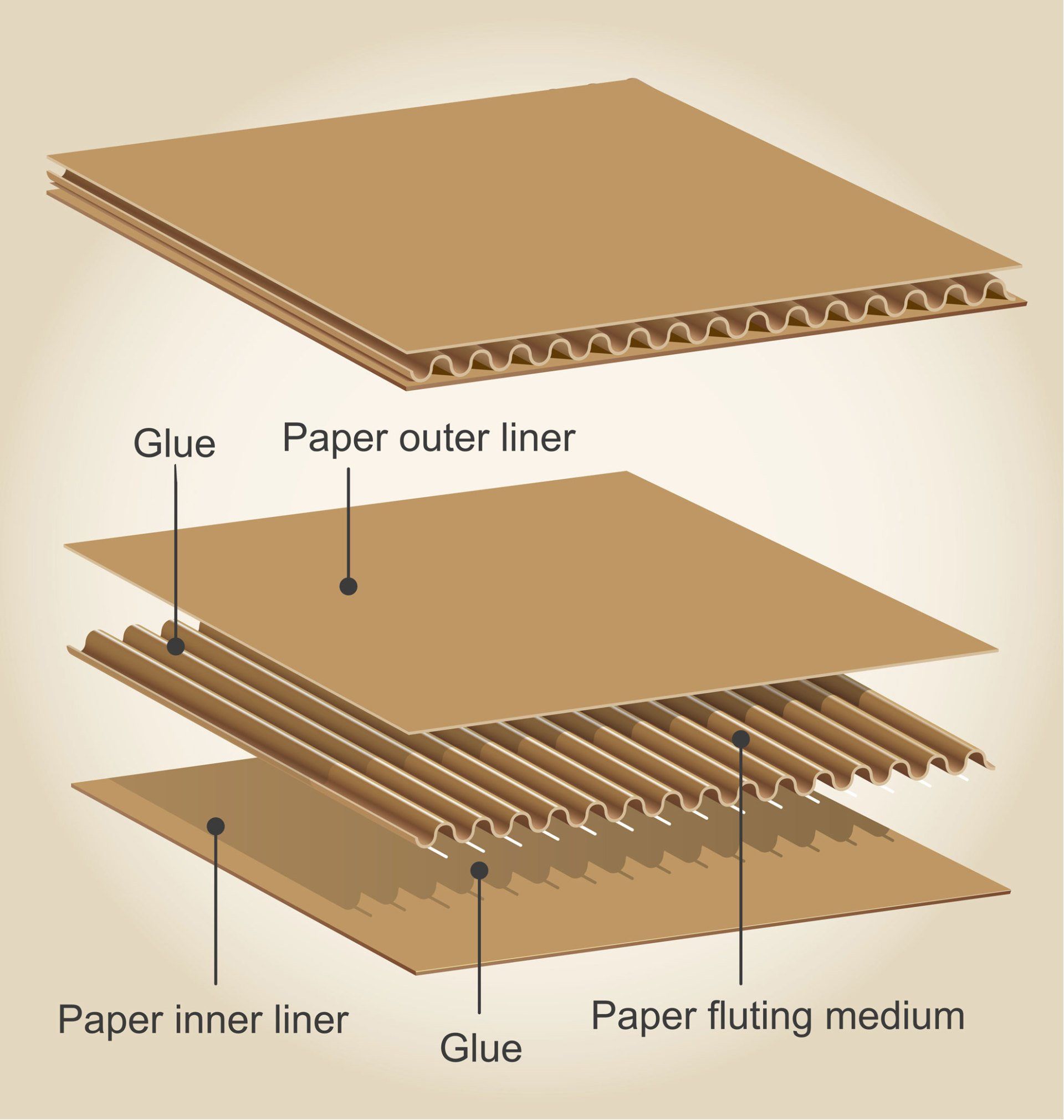 A diagram showing the layers of a cardboard box
