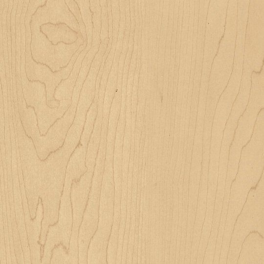 A close up of a piece of maple wood.