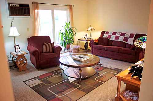 Canajoharie living room 1