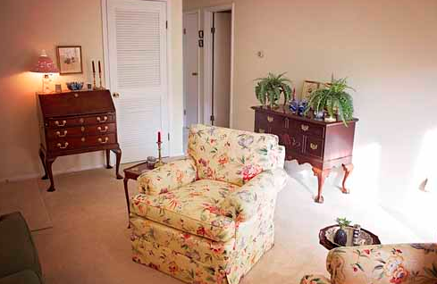 cooper large comfy chair