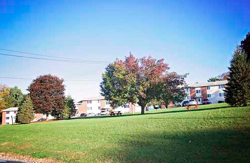 Maple knoll exterior trees