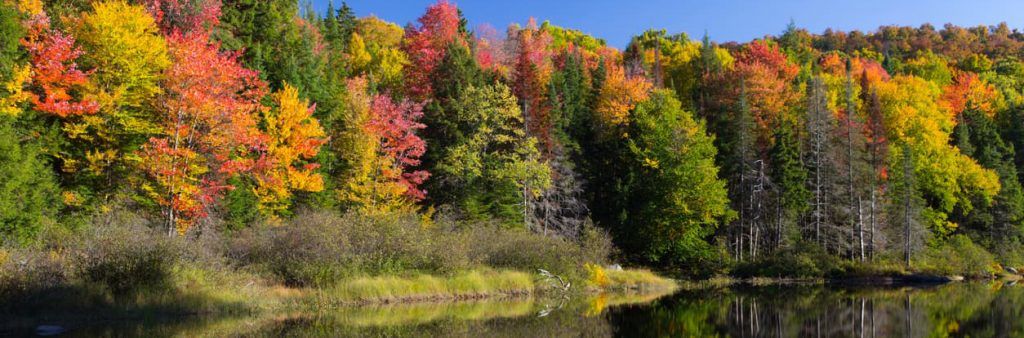 autumn-river-large